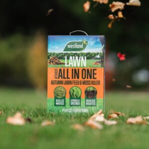 Westland Aftercut Autumn All in One 100m2 box