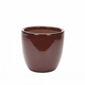 Apta Cambridge Egg Pot