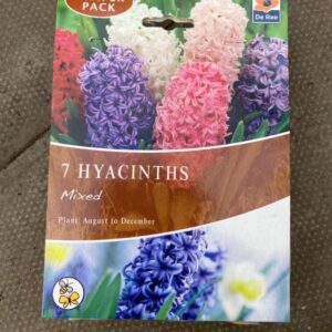 Hyacinth Mixed 7 per Pack Bumper Pack