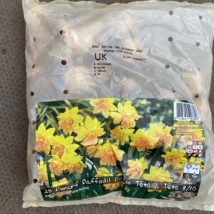 Dwarf Daffodil Double Tete a Tete 25 Per Pack