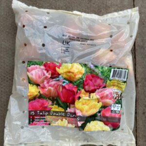 Tulip Double Dancers 15 Per Pack