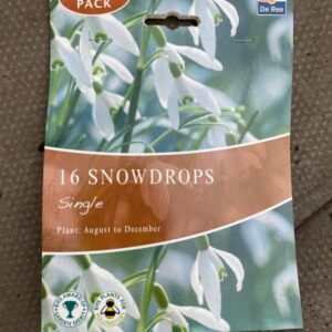 Snowdrops 16 per Pack Bumper Pack