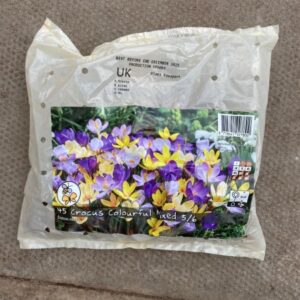 Crocus Colourful Mix 45 Per Pack