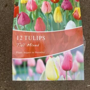 Tulips Tall Mixed 12 per Pack Bumper Pack