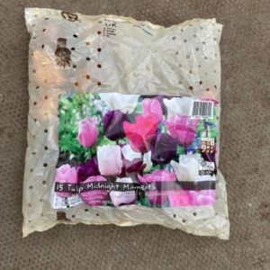 Tulip Midnight Moments 15 Per Pack