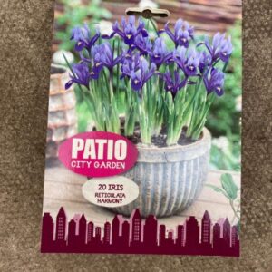 Iris Harmony 20 per pack Patio/City Collection