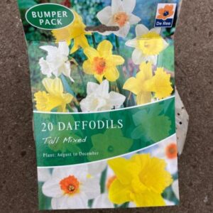 Daffodils Tall Mixed 20 per Pack Bumper Pack