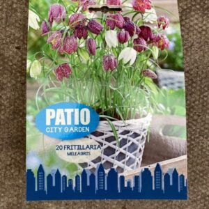 Fritillaria 20 per pack Patio/City Collection