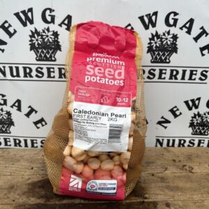 Seed Potatoes First Early Caledonian Pearl 2kg