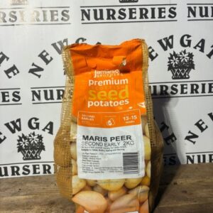 Seed Potatoes Second Early Maris Peer 2kg