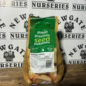 Seed Potatoes Main Crop Maris Piper 2kg