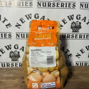 Seed Potatoes Second Early Harry 2kg
