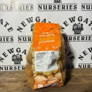 Seed Potatoes Second Early Charlotte 2kg