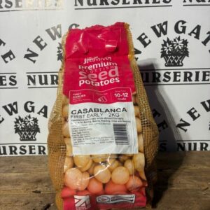 Seed Potatoes First Early Casablanca 2kg