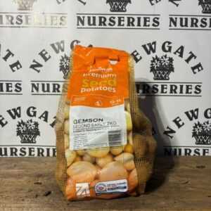 Seed Potatoes Second Early Gemson 2kg