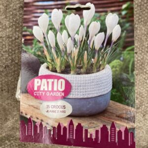Crocus Jeanne D'Arc 15 per Pack Patio Collection