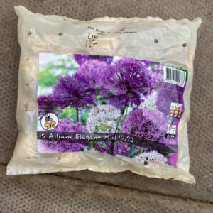 Allium Elegant Mixed 15 Per Pack