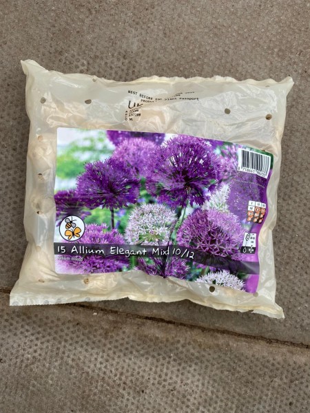 Allium Elegant Mixed 15 Per Pack