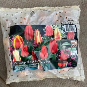 Tulips Rocket Garden 20 Per Pack