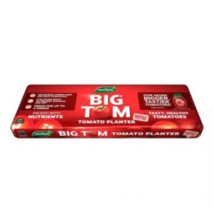 Westland Big Tom Planter (Peat Free)
