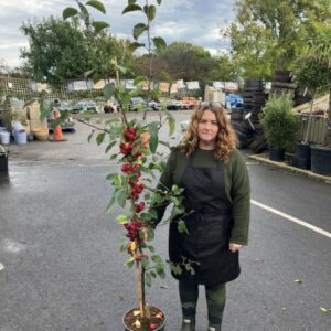 Malus Gorgeous 12 LTR