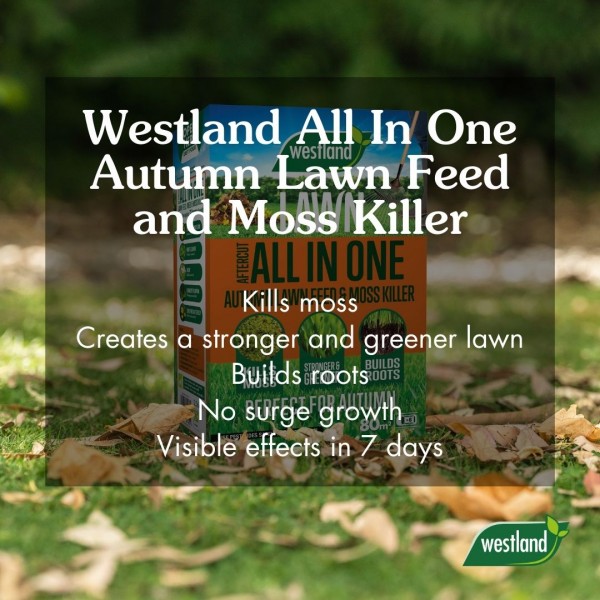 Westland AfterCut All In One Autumn 80m2