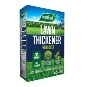 Westland Lawn Thickner 80m2