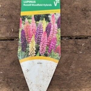 Lupin Russell Woodfield Hybrid