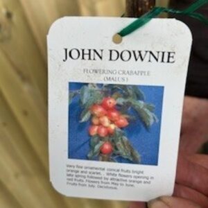 Malus (John Downie