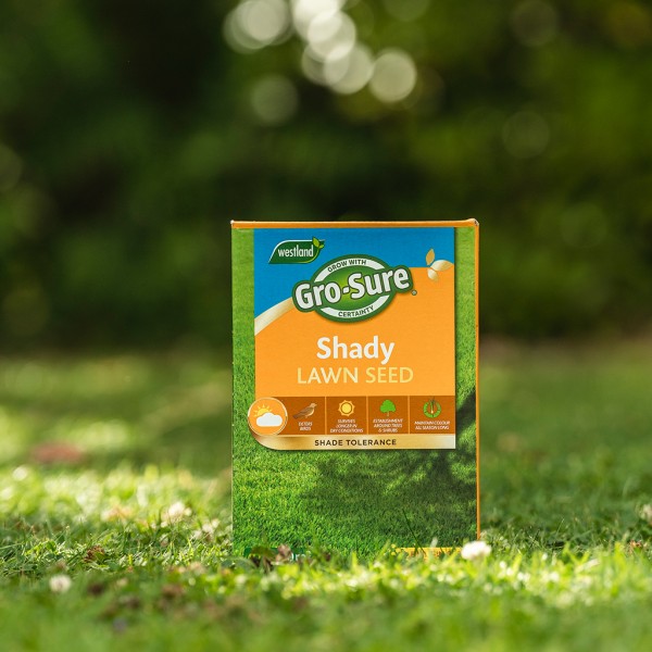 Westland GS Shady Area Lawn Seed 10sq.m 300g - Image 2