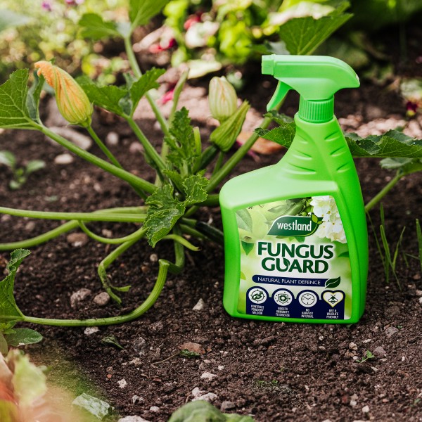 Westland Fungus Guard 800ml - Image 3