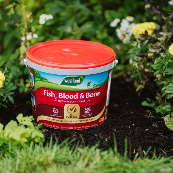 Westland Fish Blood and Bone 8 Kg - Image 2