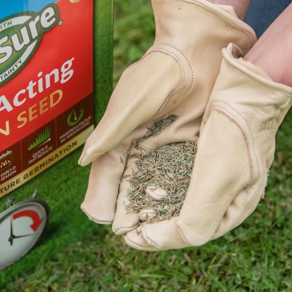 Westland GS Fast Acting Seed 13m2 - Image 2
