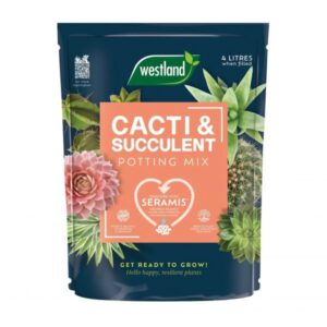 Westland cacti & succulent Mix 4LTR