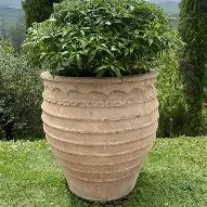 Mims Nikos Planter S1