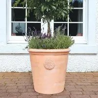 Mims Sycamore Terracotta XL S1
